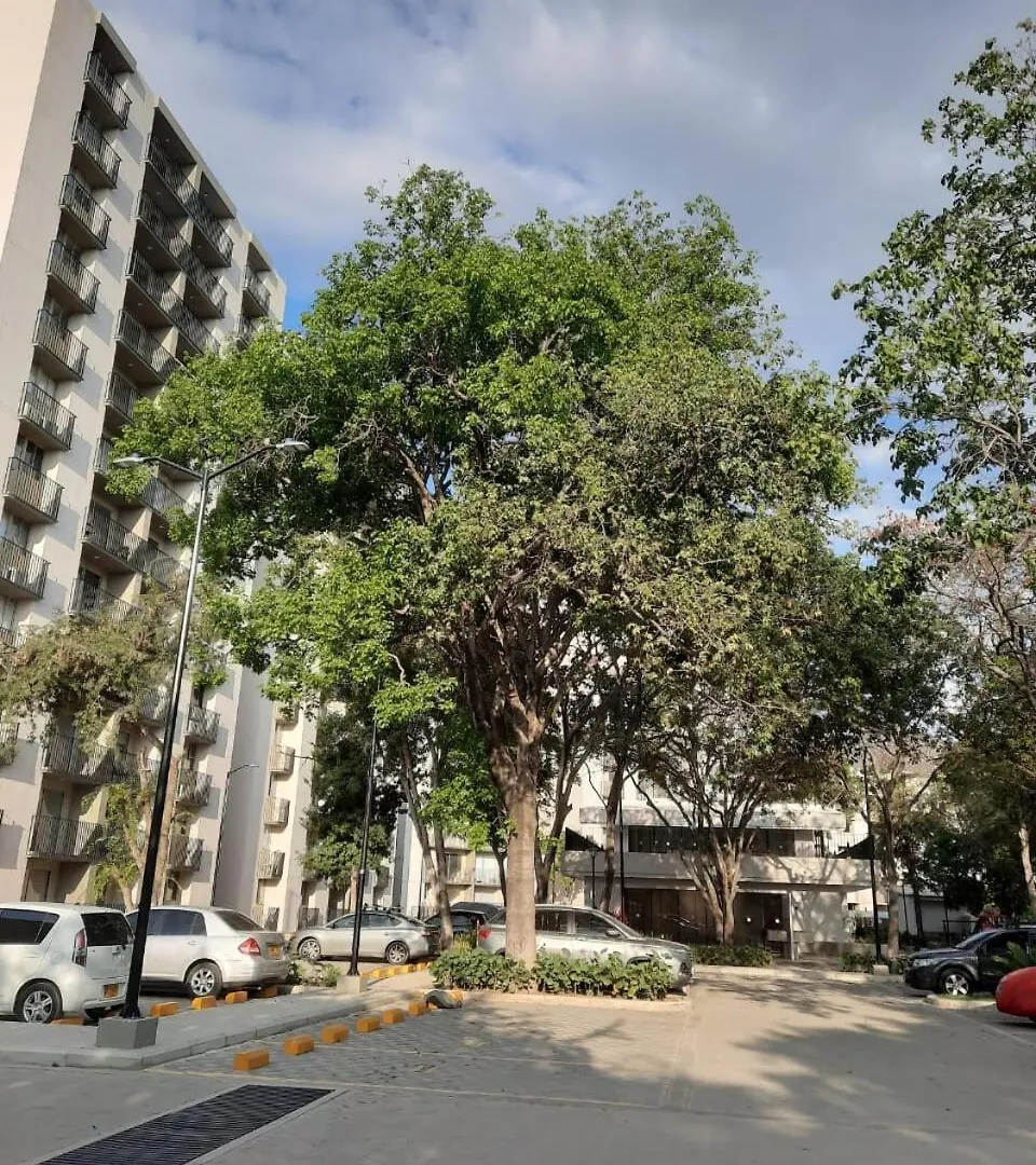 Acogedor Apartamento En Bello Horizonte Santa Marta  Colombia